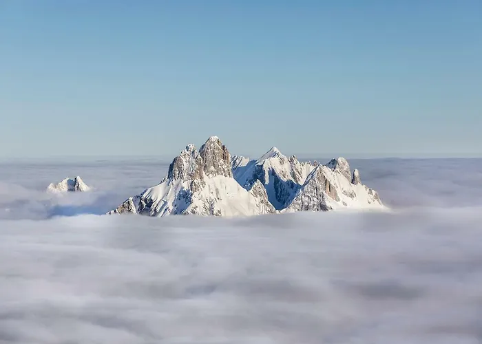 Mein Alpenstern